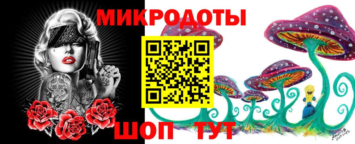 Псилоцибиновые грибы мицелий Корсаков